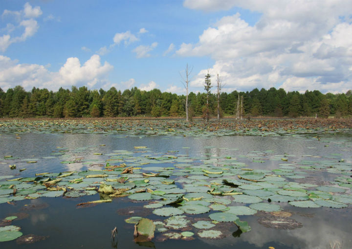 Mermet Lake